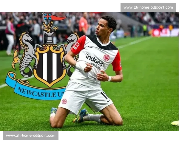 斯基拉:纽卡 6000 万镑追逐巴西锋霸 布莱顿标价创纪录或引发英超三强混战 斯基拉:纽卡 6000 万镑追逐巴西锋霸 布莱顿标价创纪录或引发英超三强混战