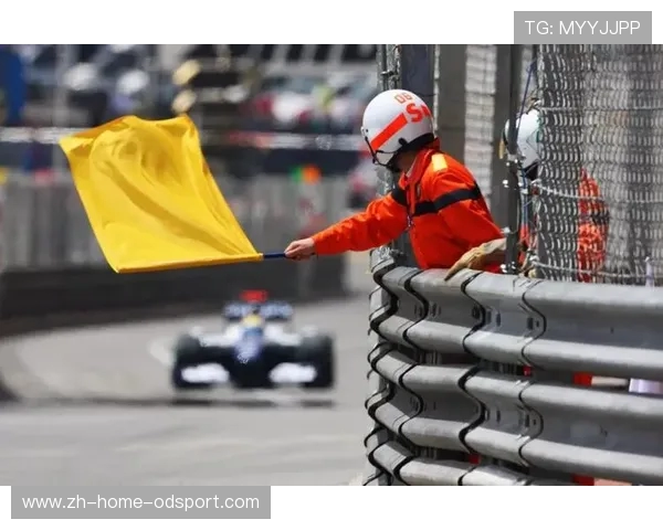 F1比赛规则详解:从旗语到进站 F1比赛规则详解:从旗语到进站